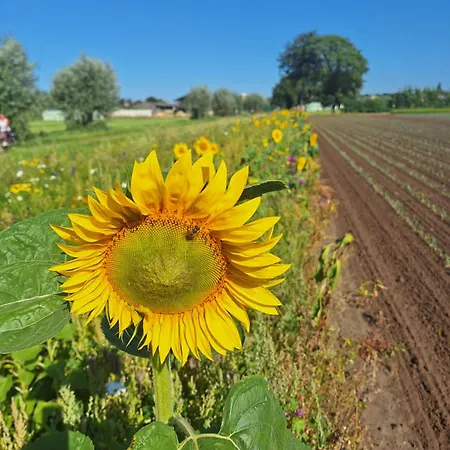 Апартаменты Polderzicht Оссендрехт