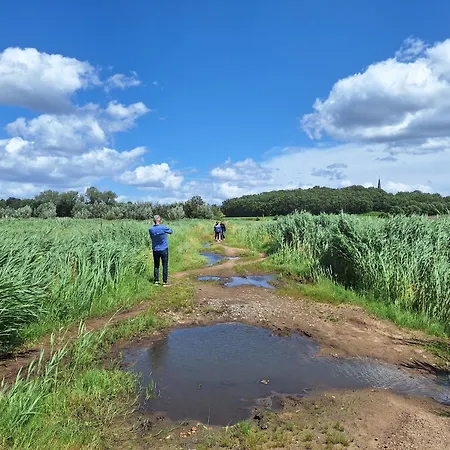 Polderzicht אוסנדרכט