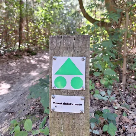 Polderzicht אוסנדרכט