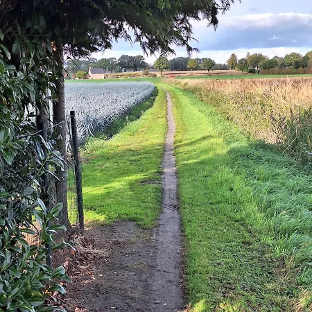 Polderzicht * Ossendrecht