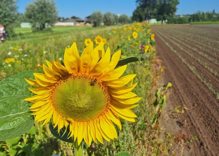 Διαμέρισμα Polderzicht Ossendrecht