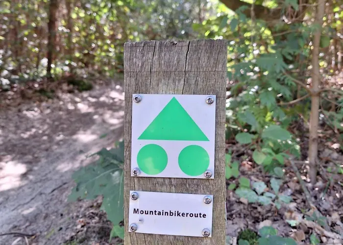 Polderzicht Ossendrecht