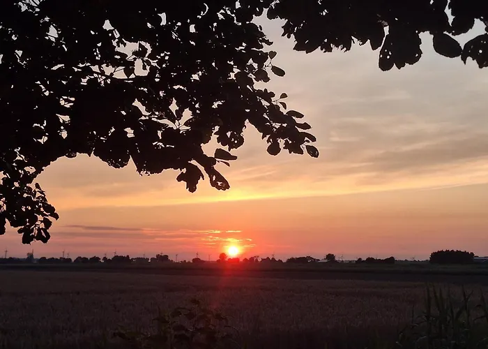 Polderzicht * Ossendrecht