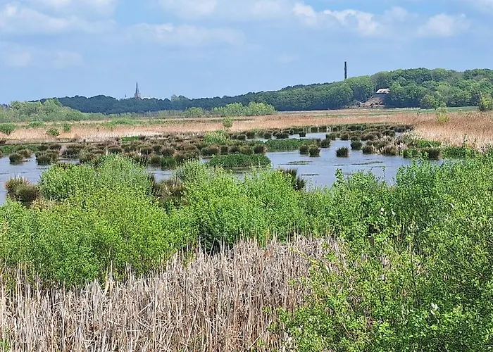 Polderzicht Διαμέρισμα Ossendrecht