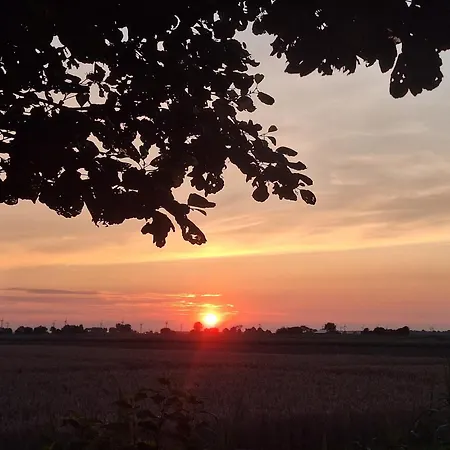 Polderzicht * Ossendrecht