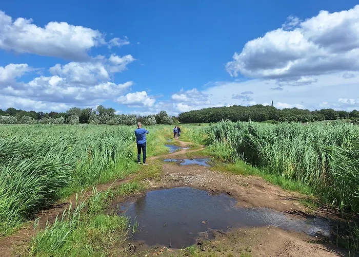 Polderzicht Ossendrecht