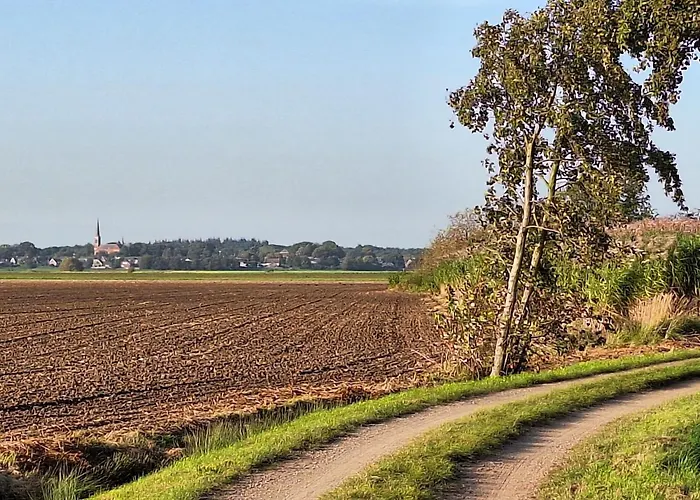 Apartment Polderzicht Ossendrecht